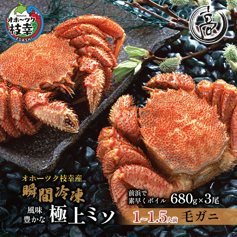 特大冷凍ボイル毛がに680g×3尾 オホーツク枝幸産（-196℃液体窒素瞬間凍結品）高田商店 【 毛カニ 蟹 かに カニ 北海道 】
