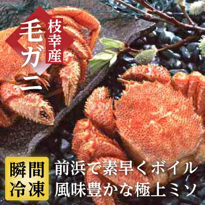 【ふるさと納税】特大冷凍ボイル毛がに680g×3尾 オホーツク枝幸産（-196℃液体窒素瞬間凍結品）マルタカ高田商店　【 毛カニ 蟹 冷凍 ボイル 毛がに 3尾 オホーツク枝幸産 濃厚 ミソ 瞬間冷凍 】のサムネイル