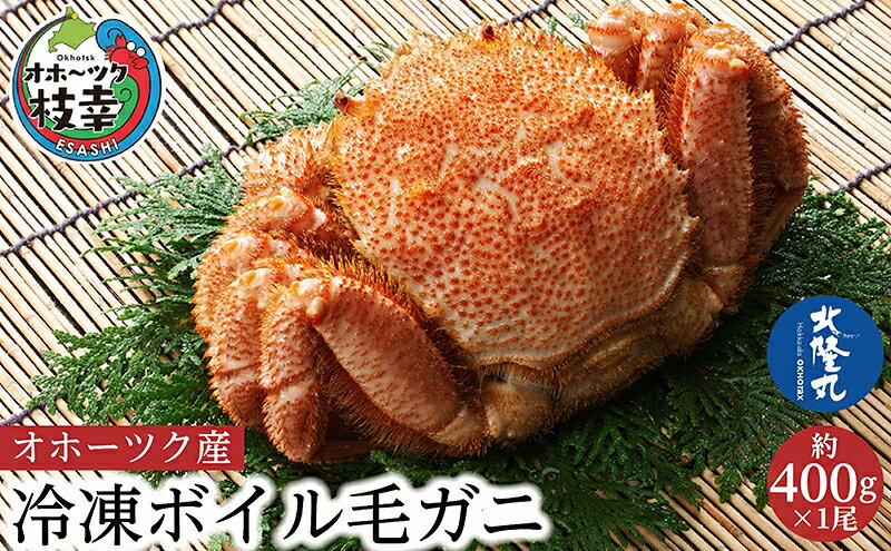 【ふるさと納税】オホーツク産 北隆丸 冷凍ボイル 毛ガニ 約400g×1尾【 カニ かに 蟹 毛ガニ 毛蟹 冷凍 魚貝 魚介 海鮮 北海道 オホーツク 枝幸 】