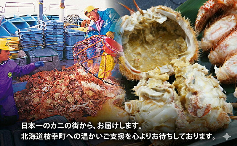 【ふるさと納税】オホーツク産 北隆丸 冷凍ボイル 毛ガニ 約400g×1尾【 カニ かに 蟹 毛ガニ 毛蟹 冷凍 魚貝 魚介 海鮮 北海道 オホーツク 枝幸 】 f015148-esashi-10001077 北海道枝幸町 サンプル画像3