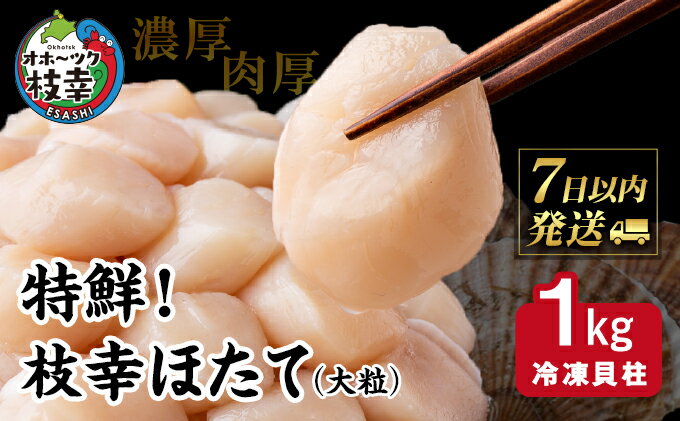 【ふるさと納税】特鮮！枝幸ほたて（大粒）冷凍貝柱1kg（S～2Sサイズ）　【 ほたて 貝 海鮮 魚介 魚介類 海の幸 北海道 】