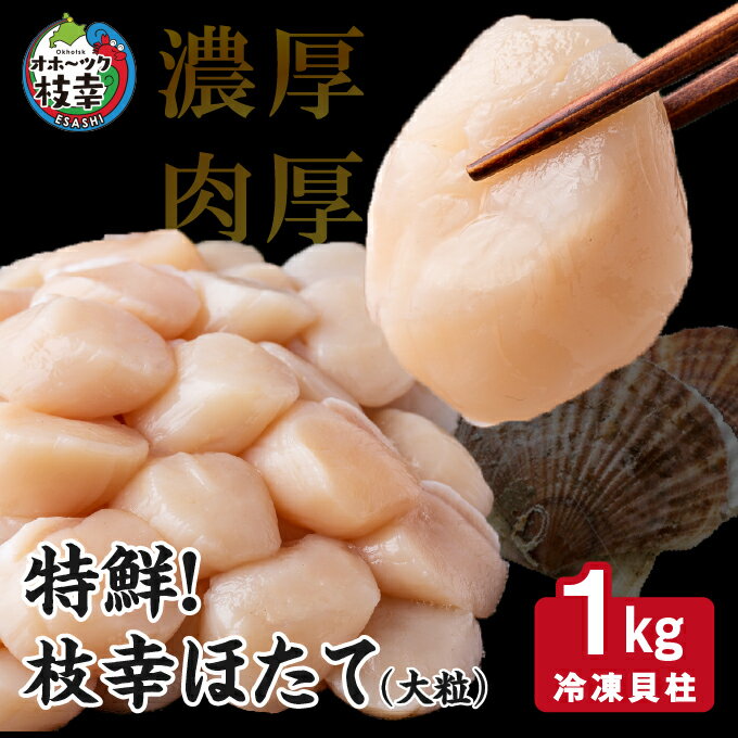 特鮮!枝幸ほたて(大粒)冷凍貝柱1kg(S〜2Sサイズ) [ ほたて 貝 海鮮 魚介 魚介類 海の幸 北海道 ]