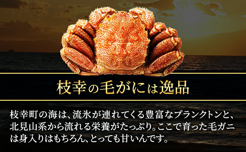 【ふるさと納税】オホーツク枝幸 冷凍ボイル毛ガニ 660g前後×1尾［山上佐藤水産］【 カニ かに 毛ガニ 海鮮 毛ガニ 蟹 北海道 オホーツク 枝幸 】 f015148-esashi-10001151 北海道枝幸町 サンプル画像3