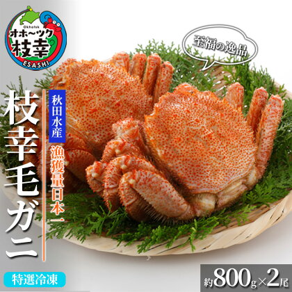 【漁獲量日本一】至福の逸品！特選冷凍「枝幸毛がに」約800g×2尾 毛蟹 毛ガニ　【加工食品・地域のお礼の品・カタログ・毛カニ・蟹】