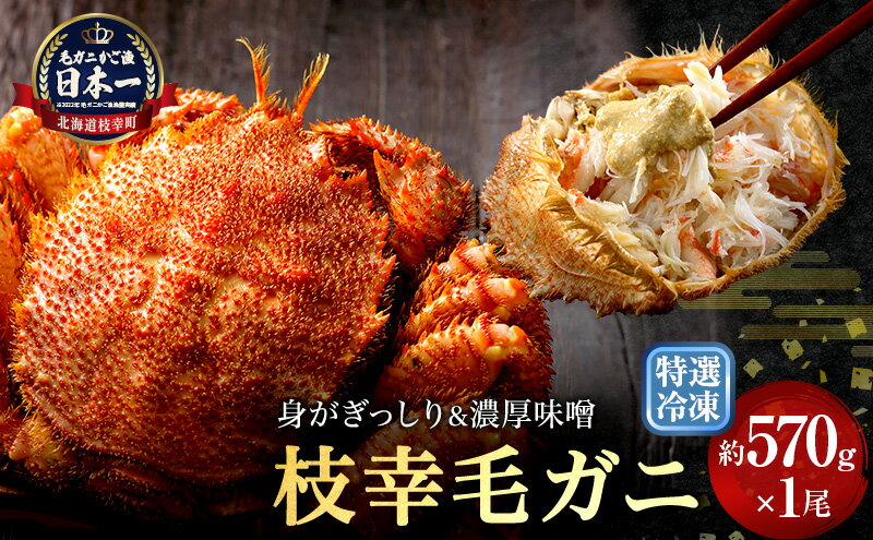 【ふるさと納税】【漁獲量日本一】至福の逸品！特選冷凍「枝幸毛がに」約570g×1尾 毛蟹 毛ガニ オホーツク 北海道加工食品 地域のお礼の品 カタログ 毛カニ