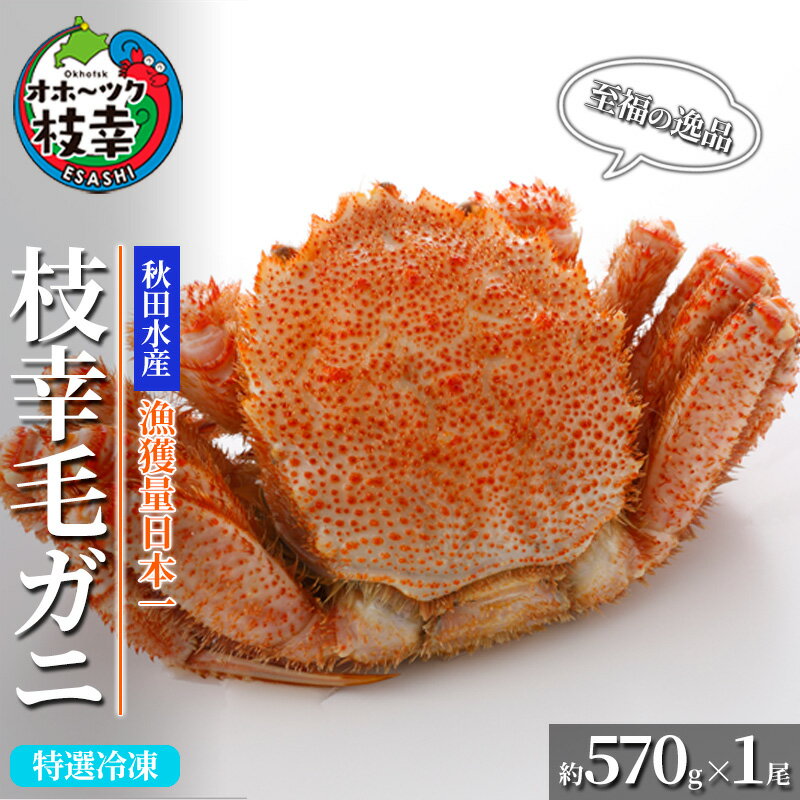 【ふるさと納税】【漁獲量日本一】至福の逸品！特選冷凍「枝幸毛がに」約570g×1尾 毛蟹 毛ガニ オホーツク 北海道加工食品 地域のお礼の品 カタログ 毛カニのサムネイル
