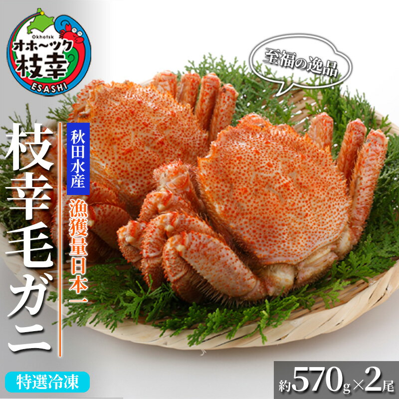 【ふるさと納税】【漁獲量日本一】至福の逸品！特選冷凍「枝幸毛がに」約570g×2尾 毛蟹 毛ガニ　【加工食品・地域のお礼の品・カタログ・毛カニ・蟹】