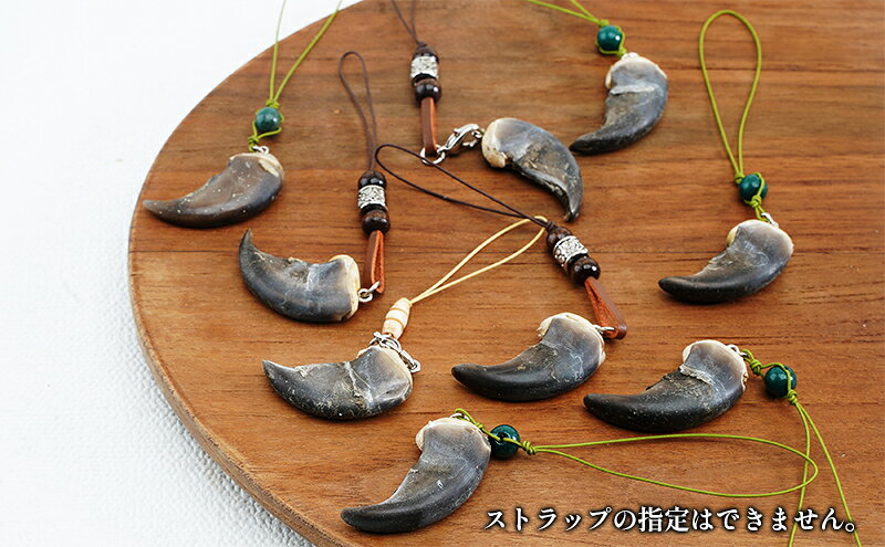 【ふるさと納税】北海道枝幸産 ヒグマの爪ストラップ 4cm前後 くま 熊 ヒグマ 羆 アクセ スマホファッション小物 アクセサリー 民芸品 工芸品 伝統技術 f015148-esashi-10001368 北海道枝幸町 サンプル画像2