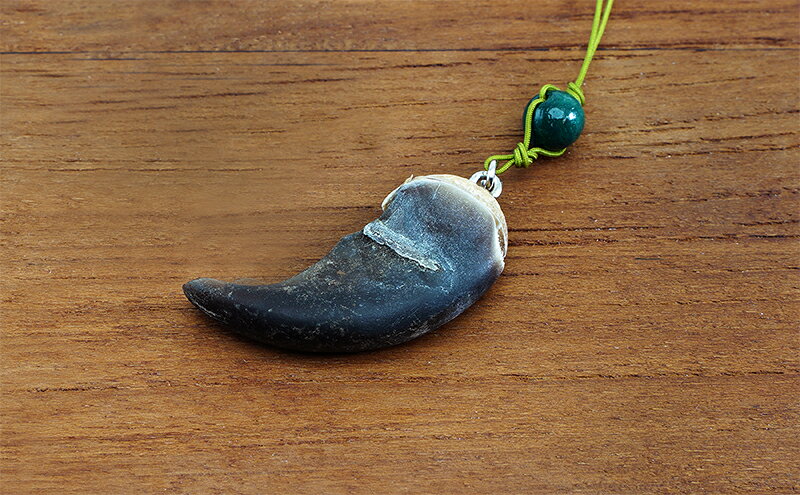 【ふるさと納税】北海道枝幸産 ヒグマの爪ストラップ 4cm前後 くま 熊 ヒグマ 羆 アクセ スマホファッション小物 アクセサリー 民芸品 工芸品 伝統技術 f015148-esashi-10001368 北海道枝幸町 サンプル画像3