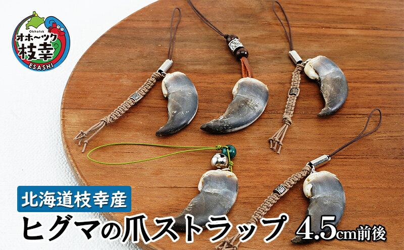 【ふるさと納税】北海道枝幸産 ヒグマの爪ストラップ 4.5cm前後 くま 熊 ヒグマ 羆 アクセ スマホファッション小物 アクセサリー 民芸品 工芸品 伝統技術