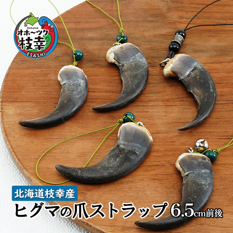 【ふるさと納税】北海道枝幸産 ヒグマの爪ストラップ 6.5c