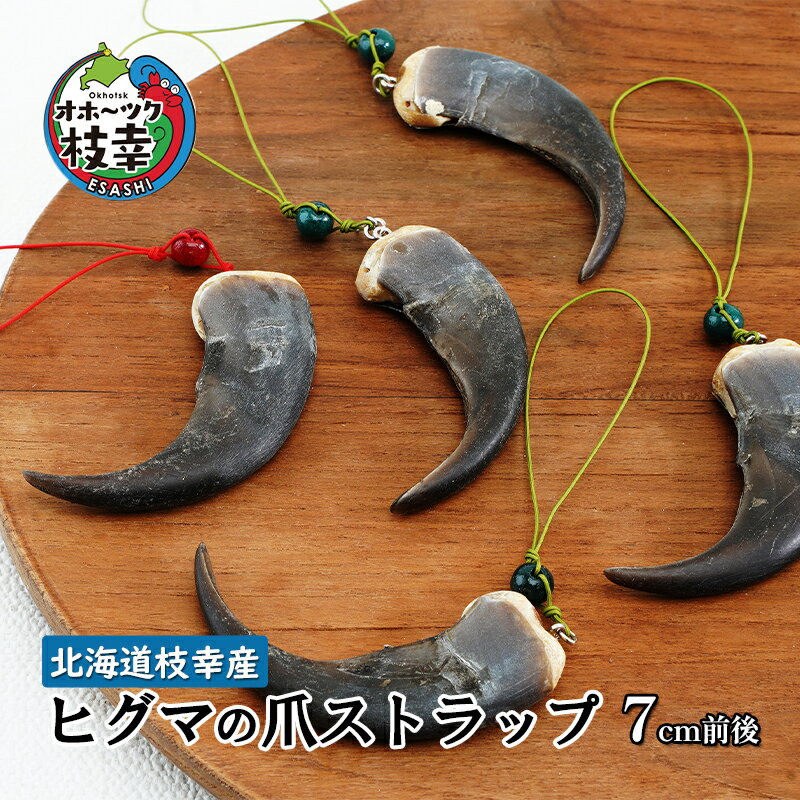 北海道枝幸産 ヒグマの爪ストラップ 7cm前後 くま 熊 ヒグマ 羆 アクセ スマホファッション小物 アクセサリー 民芸品 工芸品 伝統技術
