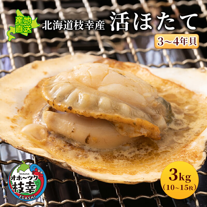 北海道枝幸産 活ホタテ 3kg 【枝幸ほたて】 あければオホーツク 北海道 冷凍 貝柱 魚介 海 オホーツク 帆立 BBQ お届け：2024年6月1日～2024年10月下旬まで※日時指定不可