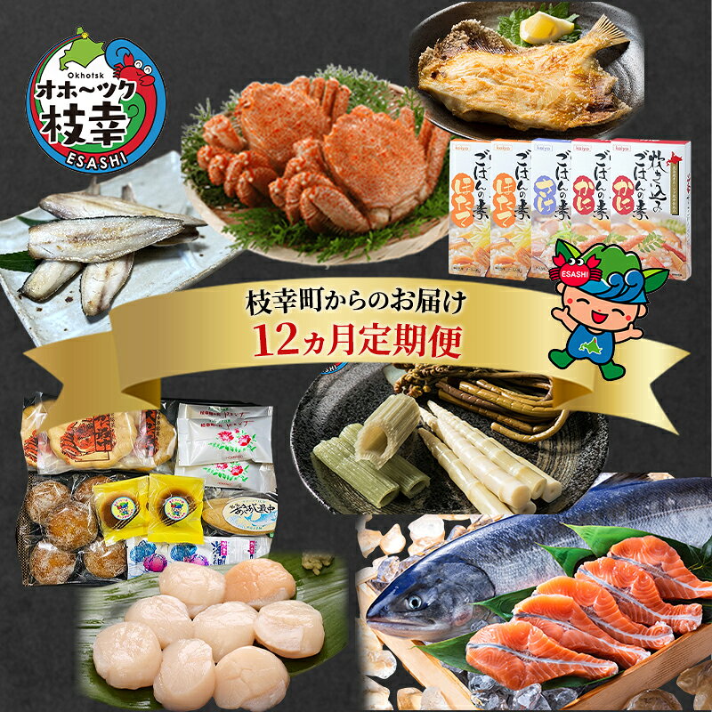 ～北海道枝幸町からのお届け まるごと堪能品！ 定期便9～【 ホタテ 貝柱 大粒 冷凍 ほたて 毛がに ほたて ステーキ めじか鮭 切身 ホッケ フライ など】