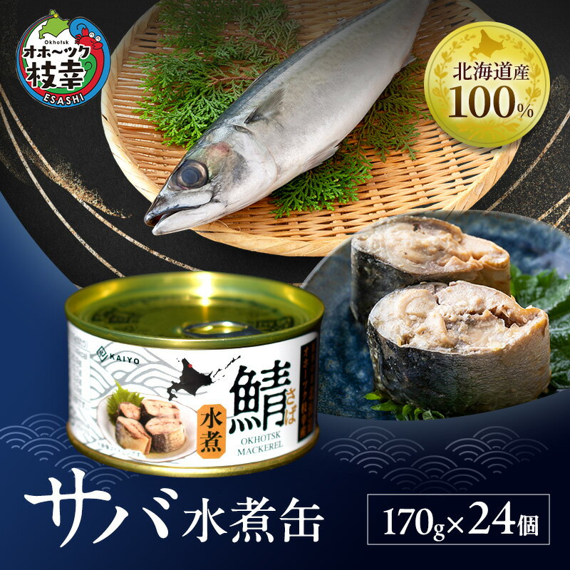 【ふるさと納税】北海道オホーツク枝幸産 さば水煮 缶詰170g×24個 水揚げ当日フレッシュパック！［海洋食品］【 さば サバ サバ缶 缶詰 新鮮 惣菜 保存 長期 加工食品 魚貝 魚介 北海道 オホーツク 枝幸 】