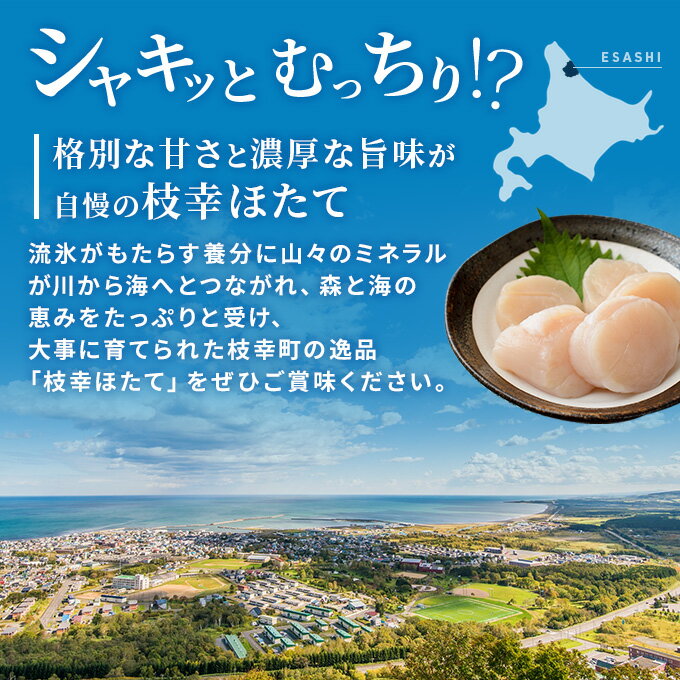 �ڤդ뤵��Ǽ�ǡ���6�� ����� �ץ���ǧ��륪�ۡ��ĥ��֥��ɡֻ޹��ۤ��ơ����೭��1kg ��4S��������51γ��60γ�˻޹����� �� �ɿ� ���� ��Ω Ķ�ܶ� ������ ���� ���ι� �޹��� �Ĥޤ� �� ����Τ��� ����Τ��� �̳�ƻ ���ۡ��ĥ� �޹� ��