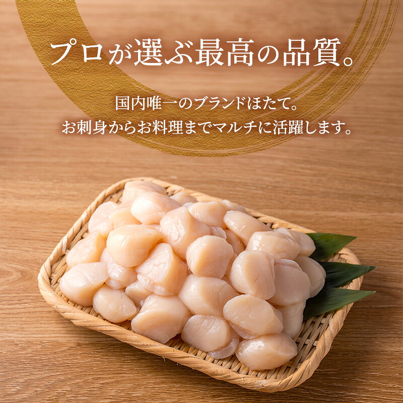 【ふるさと納税】【枝幸ほたて】たっぷり41～60粒！旨味凝縮 冷凍ほたて貝柱 1kg［枝幸漁業協同組合］唯一のブランドほたて「枝幸のスタンダード」お刺身から主役の料理まで【 帆立 ホタテ ほたて 生食 海鮮 北海道 オホーツク 枝幸 】