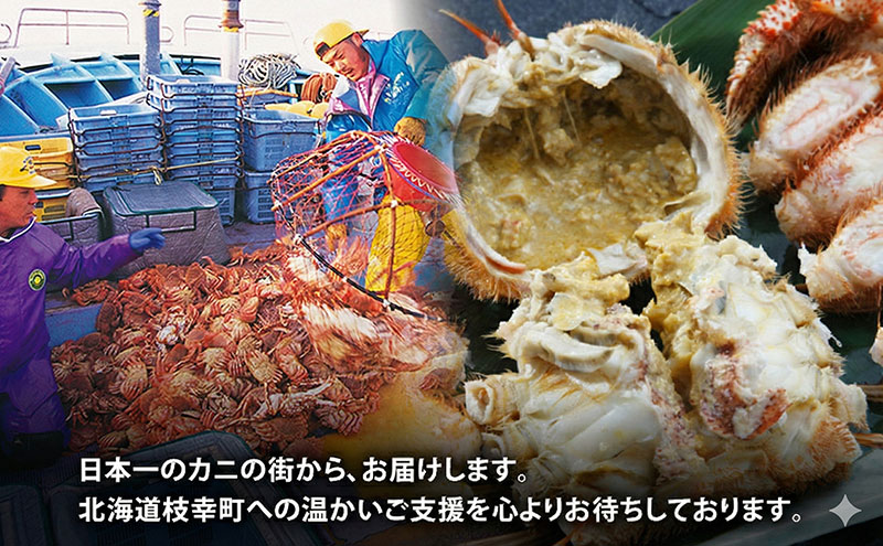 サンプル画像3