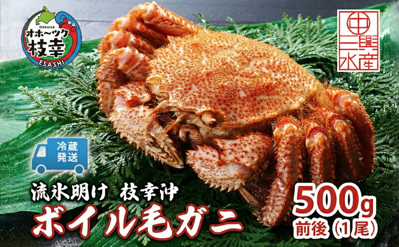 【ふるさと納税】〈冷蔵発送〉流氷明け 枝幸沖 ボイル毛ガニ 500g前後×1尾 先行予約【2027年3月頃発送予定】旬の味覚［丸中三興水産］オホーツク枝幸 前浜【 蟹 魚介 北海道 枝幸 】　お届け：2027年3月中旬～3月下旬※気候や漁獲状況により大幅に変わるため目安です。