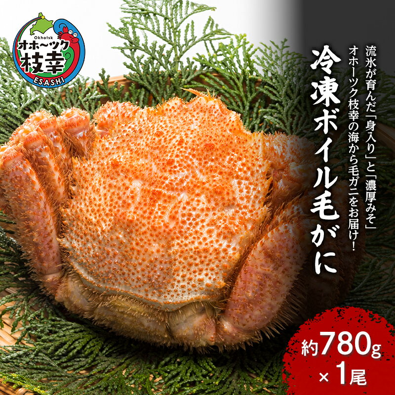 【ふるさと納税】【枝幸毛ガニ】冷凍ボイル毛がに 約780g×1尾 流氷明け 身入り抜群［壽綜合商事］【 カニ 蟹 毛ガニ 毛がに 毛蟹 かにみそ 蟹味噌 ボイル 茹で 冷凍 北海道 オホーツク 枝幸 】