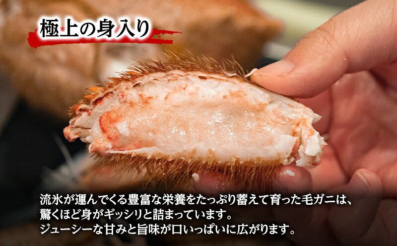 【ふるさと納税】【枝幸毛ガニ】冷凍ボイル毛がに 約780g×1尾 流氷明け 身入り抜群［壽綜合商事］【 カニ 蟹 毛ガニ 毛がに 毛蟹 かにみそ 蟹味噌 ボイル 茹で 冷凍 北海道 オホーツク 枝幸 】
