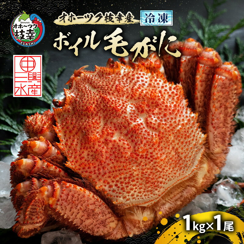 毛ガニ 北海道枝幸町