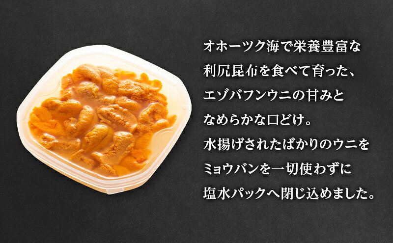 【ふるさと納税】6～7月発送/先行予約 オホーツク枝幸 エゾバフンウニ 塩水パック100g［六三海］濃厚な甘みととろける食感【 うに 雲丹 バフンウニ 塩水うに ミョウバン不使用 期間限定 高級 魚介類 海の幸 北海道 】　お届け：2026年6月下旬～7月下旬まで