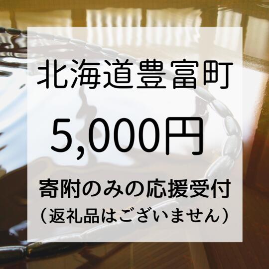 H-06 ＜寄附のみの応援受付(返礼品はございません)＞ 北海道 豊富町 返礼品なし 寄付【5,000円分】