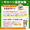 北海道豊富町の画像2