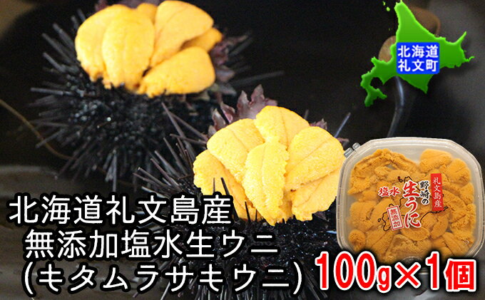 【ふるさと納税】北海道礼文島産　無添加塩水生ウニ（キタムラサキウニ）100g×1個　【魚貝類・ウニ・雲丹・うに・キタムラサキウニ・ムラサキウニ・100g】　お届け：2022年5月中旬〜6月中旬、8月中旬〜9月15日頃まで