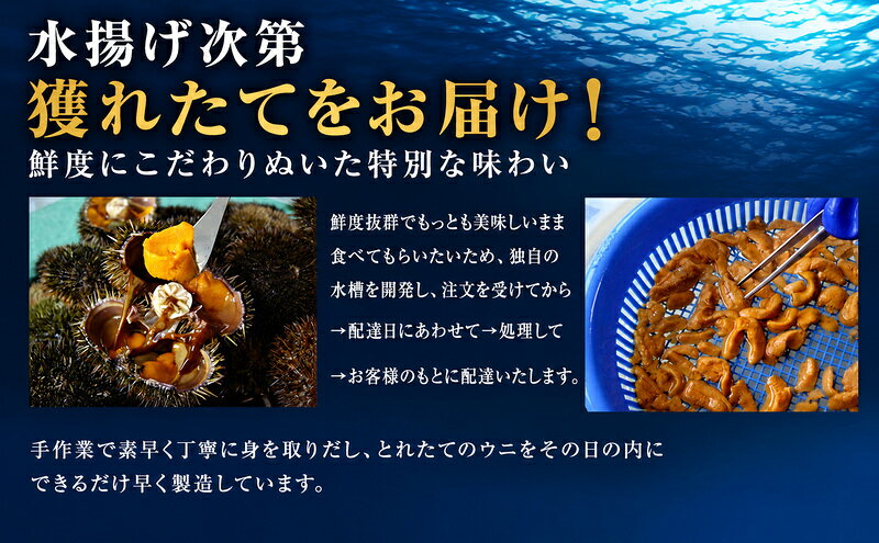 【ふるさと納税】北海道 礼文島産 ミョウバン不使用 冷凍 生うに エゾバフンウニ 80g×2個［野崎水産］【 うに ウニ 雲丹 生うに 冷凍うに バフンウニ 海鮮 うに丼 濃厚 甘み 】 f015172-rebun-10000479 北海道礼文町 サンプル画像3