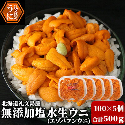 名称生うに(生食用)内容量無添加塩水生ウニ（エゾバフンウニ）100g×5個原材料うに(北海道利尻・礼文島産)、滅菌海水消費期限発送から5日保存方法要冷蔵(10℃以下)製造者野崎水産　野崎桂吉北海道礼文郡礼文町事業者野崎水産配送方法冷蔵配送お届け時期2024年6月上旬～8月10日まで備考※画像はイメージです。※沖縄および離島への配送はお受けできません。※上記のエリアからの申し込みは返礼品の手配が出来ないため、「キャンセル」または「寄附のみ」とさせていただきます。予めご了承ください。※日時指定は承れません。※漁で穫れた分だけ順に発送しますので、数週間お待たせする可能性がございます。※出荷時期になりましたら、別途メールにてお届けについてのご案内をさせていただきます。※長期不在のご予定があれば、「お届けについてのご案内メール」に記載されているお問い合わせセンターへ返信または、お電話ください。※消費期限：発送から冷蔵5日 ・ふるさと納税よくある質問はこちら ・寄附申込みのキャンセル、返礼品の変更・返品はできません。あらかじめご了承ください。【ふるさと納税】【先行予約】 北海道 礼文島産 無添加 塩水ウニ （ エゾバフンウニ ）100g×5 生うに うに 雲丹 　【魚貝類 ウニ 雲丹 うに エゾバフンウニ バフンウニ 500g】　お届け：2024年6月上旬～8月10日まで 礼文島では6月上旬～8月末までしか水揚げされない、日本一の美味しさをもつ極上のエゾバフンウニです。利尻昆布をたくさん食べて育つウニは、甘味が強くどこの産地にも負けない美味しさがあります。5パックでのお届けなので、家族や友達とウニ丼・手巻き寿し・焼きウニなどで是非ご堪能ください。※当店の塩水生うにはミョウバンや薬品処理を一切使用しおりません。※必ずご確認をお願いいたします※水揚げがあり次第の出荷となりますので、曜日・日時の指定は承ることができません。礼文島は島から出荷となりますので、天候が悪い場合、波が高い場合は出荷することができません。不在日が多い場合も対応することができない場合がございますので、予めご理解をお願いいたします。 寄附金の用途について 1. 地場産業の振興 2. 保健、福祉及び医療 3. 教育及び文化の振興 4. スポーツの振興 5. 自然保護、環境保全 6. 北のカナリアパーク整備 7. ふるさと応援、体験道場事業 8. 自治体におまかせ 受領証明書及びワンストップ特例申請書のお届けについて 入金確認後、注文内容確認画面の【注文者情報】に記載の住所にお送りいたします。発送の時期は、入金確認後1～2週間程度を目途に、お礼の特産品とは別にお送りいたします。 ■　ワンストップ特例について ワンストップ特例をご利用される場合、1月10日までに申請書が届くように発送ください。 マイナンバーに関する添付書類に漏れのないようご注意ください。