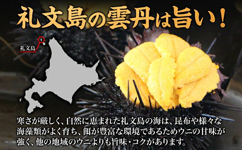 【ふるさと納税】塩水うにと新鮮生うにを選べて容量も選べる 北海道 礼文島産 ミョウバン不使用 塩水ウニ キタムラサキウニ 80g～1.2kg［野崎水産］【 うに ウニ 雲丹 生うに 塩水うに ムラサキウニ 素材本来の味 海鮮 】　お届け：2026年5月上旬～9月中旬まで f015172-rebun-10000510 北海道礼文町 サンプル画像3