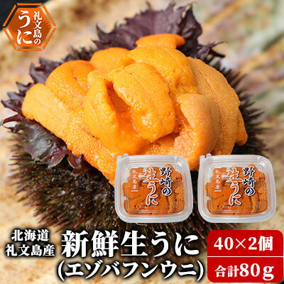 [先行予約] 北海道 礼文島産 新鮮生うに( エゾバフンウニ)40g×2個 ウニ 雲丹 [魚貝類 ウニ 雲丹 うに エゾバフンウニ バフンウニ 80g] お届け:2024年6月上旬〜8月10日まで