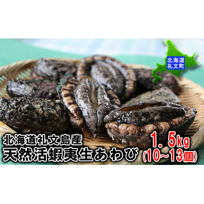 【ふるさと納税】北海道礼文島産天然活蝦夷生あわび贅沢セット1.5kg(10〜13個)【魚介類・あわび・アワビ・鮑・蝦夷生あわび】お届け:2022年10月15日頃〜12月28日まで