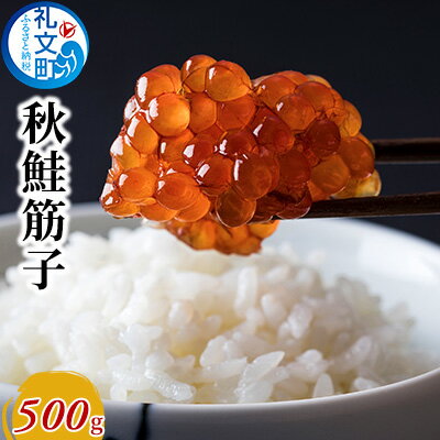 【ふるさと納税】秋鮭 筋子 500g　【魚介類 魚貝類 加工食品 秋鮭筋子 500g】