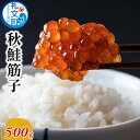 【ふるさと納税】秋鮭 筋子 500g　【