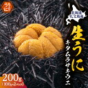  北海道 礼文島産 採れたて キタムラサキウニ 塩水パック 100g×2 生うに 生ウニ 塩水うに　　お届け：2024年5月～9月末まで