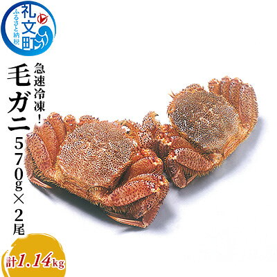 北海道産 急速冷凍 ボイル 毛ガニ 約570g×2尾［株式会社やまじょう］【 かに カニ 蟹 毛蟹 毛ガニ 姿 急速冷凍 ボイル 蟹味噌 かにみそ 海鮮 北海道 お祝い 贈答 ギフト 】