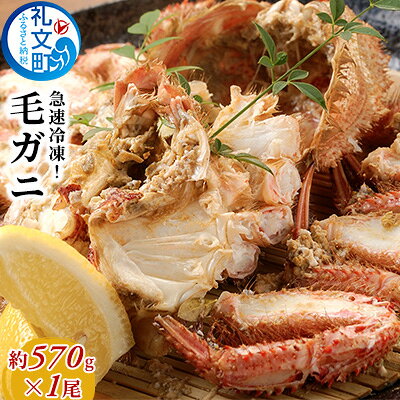 北海道産 急速冷凍 ボイル 毛ガニ 約570g×1尾［株式会社やまじょう］【 かに カニ 蟹 毛蟹 毛ガニ 姿 急速冷凍 ボイル 蟹味噌 かにみそ 海鮮 北海道 お祝い 贈答 ギフト 】