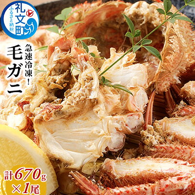 北海道産 急速冷凍 ボイル 毛ガニ 約670g×1尾［株式会社やまじょう］【 かに カニ 蟹 毛蟹 毛ガニ 姿 急速冷凍 ボイル 蟹味噌 かにみそ 海鮮 北海道 お祝い 贈答 ギフト 】