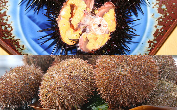 【ふるさと納税】北海道 礼文島産 蒸しうに 缶詰 食べ比べ (エゾバフンウニ・キタ...