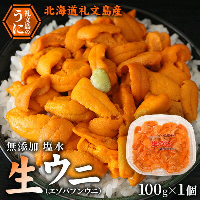 名称生うに(生食用)内容量無添加塩水生ウニ（エゾバフンウニ）100g×1個原材料うに(北海道利尻・礼文島産)、滅菌海水消費期限発送から5日保存方法要冷蔵(10℃以下)製造者野崎水産　野崎桂吉北海道礼文郡礼文町事業者野崎水産配送方法冷蔵配送お届け時期2024年6月上旬～8月10日まで備考※画像はイメージです。 ※沖縄および離島への配送はお受けできません。 ※上記のエリアからの申し込みは返礼品の手配が出来ないため、「キャンセル」または「寄附のみ」とさせていただきます。予めご了承ください。 ※日時指定は承れません。 ※漁で穫れた分だけ順に発送しますので、数週間お待たせする可能性がございます。 ※出荷時期になりましたら、別途メールにてお届けについてのご案内をさせていただきます。 ※長期不在のご予定があれば、「お届けについてのご案内メール」に記載されているお問い合わせセンターへ返信または、お電話ください。 ※消費期限：発送から冷蔵5日 ・ふるさと納税よくある質問はこちら ・寄附申込みのキャンセル、返礼品の変更・返品はできません。あらかじめご了承ください。【ふるさと納税】【先行予約】 北海道 礼文島産 無添加 塩水ウニ （ エゾバフンウニ ）100g×1 生うに うに 雲丹 　【 魚貝類 ウニ 雲丹 生ウニ 海の幸 肴 つまみ 海鮮 生もの 北海道産 】　お届け：2024年6月上旬～8月10日まで 礼文島では6月上旬～8月末までしか水揚げされない、日本一の美味しさをもつ極上のエゾバフンウニです。 利尻昆布をたくさん食べて育つウニは、甘味が強くどこの産地にも負けない美味しさがあります。 獲れたての礼文島産塩水生うにをお届け致します。 ※当店の塩水生うにはミョウバンや薬品処理を一切使用しおりません。 ※必ずご確認をお願いいたします※ 水揚げがあり次第の出荷となりますので、曜日・日時の指定は承ることができません。 礼文島は島から出荷となりますので、天候が悪い場合、波が高い場合は出荷することができません。 不在日が多い場合も対応することができない場合がございますので、予めご理解をお願いいたします。 複数をお申込みの場合は、同じ日に商品が届かない場合もございますのでご了承ください。 同時のお届けを希望される場合は、2パック・5パック・10パックの返礼品をご用意しておりますのでそちらをお選びください。 寄附金の用途について 1. 地場産業の振興 2. 保健、福祉及び医療 3. 教育及び文化の振興 4. スポーツの振興 5. 自然保護、環境保全 6. 北のカナリアパーク整備 7. ふるさと応援、体験道場事業 8. 自治体におまかせ 受領証明書及びワンストップ特例申請書のお届けについて 入金確認後、注文内容確認画面の【注文者情報】に記載の住所にお送りいたします。発送の時期は、入金確認後1～2週間程度を目途に、お礼の特産品とは別にお送りいたします。 ■　ワンストップ特例について ワンストップ特例をご利用される場合、1月10日までに申請書が届くように発送ください。 マイナンバーに関する添付書類に漏れのないようご注意ください。