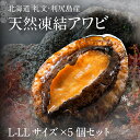 【ふるさと納税】礼文島産　凍結島アワビ　Lサイズ 5個　【 魚貝類 魚介類 鮑利尻昆布 良質 瞬間冷凍 磯の香り コリコリ 獲れたて 甘い 贈り物 】