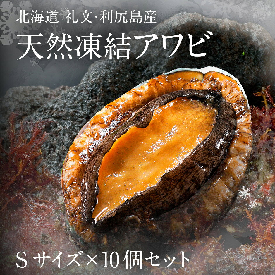 礼文島産 凍結島アワビ Sサイズ 10個 魚貝類 魚介類 鮑利尻昆布 良質 瞬間冷凍 磯の香り コリコリ 獲れたて 甘い 贈り物
