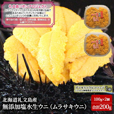 【ふるさと納税】【礼文島リボンプロジェクト】 北北海道 礼文島産 塩水ウニ ( キタムラサキウニ )100g×2 生うに うに 雲丹 魚貝類 海の幸 海鮮 お届け:2025年5月上旬~9月中旬まで
