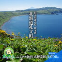 【ふるさと納税】北海道礼文町 寄附のみの応援受付 1,000円コース(返礼品なし 寄附のみ 1000円)