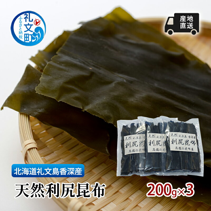 18位! 口コミ数「0件」評価「0」北海道 礼文島 香深産 天然利尻昆布 200g×3 昆布 だし　【礼文町】