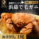 【ふるさと納税】絶品浜茹で毛ガニ約400g×1尾 ［2024年2月出荷開始先行受付］カニ 毛ガニ 茹で蟹 魚介類　【毛カニ 蟹】　お届け：2024年2月上旬～2024年4月下旬まで※順次出荷の商品になりますので、お届け日の指定（日時・曜日）はできません。