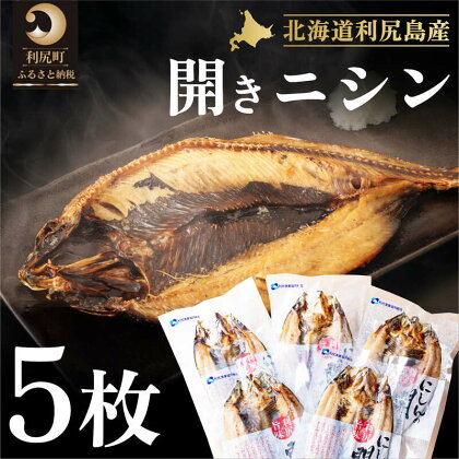 利尻島産 開きニシン5枚　【魚貝類・干物・開きニシン・ニシン・にしん】